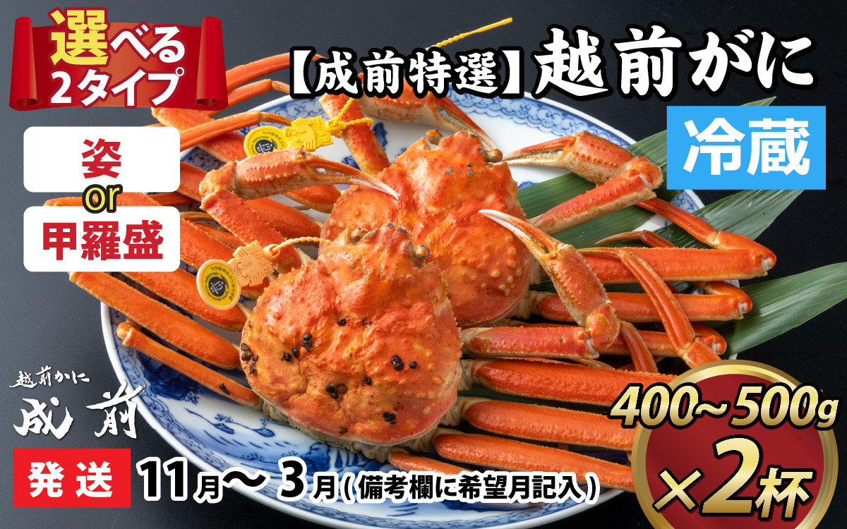 
美味しさ直送！【成前特選】 越前がに（400g～500g）×2杯【11月～3月発送】【蟹 カニ 冬 茹でがに ボイル 肉厚 ブランド 冷蔵 国産】 [J-028047]
