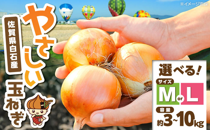 【選べる容量・サイズ】【やさしい玉ねぎ】白石産玉ねぎ 約3kg（Mサイズ）【川崎ファーム】 [IDQ001]