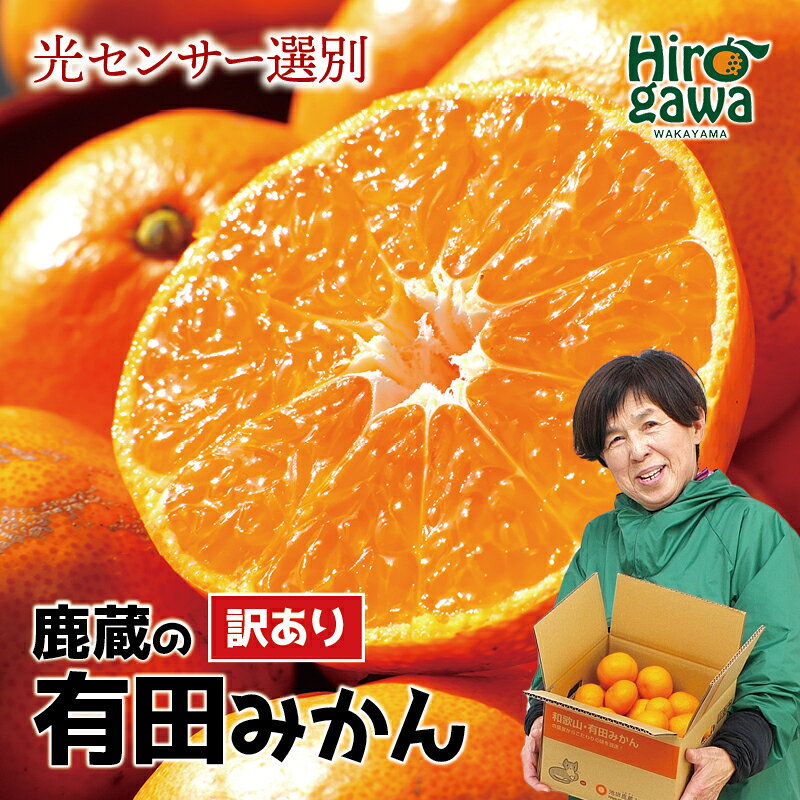 【ふるさと納税】 有田 みかん 訳あり 光センサー 選果 / 有田みかん 温州みかん 甘い 家庭用 和歌山 柑橘 お試し 送料無料 2.5kg 5kg 10kg 5000円 10000円 ※2026年10月上旬～2027年1月下旬頃に順次発送予定 ※北海道・沖縄・離島への配送不可 //mandarin //goku
