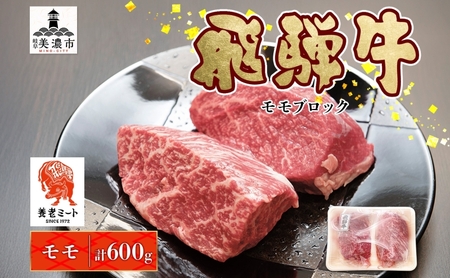 飛騨牛 モモ ブロック 和牛 飛騨牛【300g×2P】【冷凍】