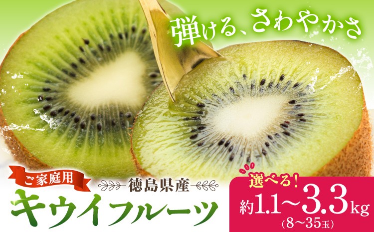 
                  キウイ キウイフルーツ 徳島県産 ご家庭用 訳ありフルーツ 果物 スムージー ジャム デザート 先行予約 徳島県産キウイ 徳島県 1.1kg 2.2kg 3.3kg 選べる容量《2026年12月下旬-2027年3月中旬頃出荷》
                