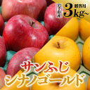 【ふるさと納税】先行予約 令和6年産 りんご サンふじ シナノゴールド 3kg 5kg 10kg 岩手県 金ケ崎町産 先行予約 贈答用 12月上旬発送予定