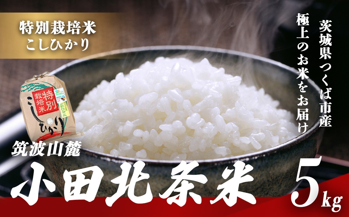 
                  令和7年産 特別栽培米 コシヒカリ 小田北条米 5kg │ 米 お米 こしひかり 白米 精米
                