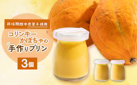 栽培期間中、農薬を使わず自家栽培した「コリンキーかぼちゃ」使用の手作りプリン　3個【1670917】