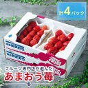 【ふるさと納税】酸味と甘みの絶妙なバランス・冬あまおう4パック(大牟田市)【配送不可地域：離島・北海道・沖縄県】【1226660】