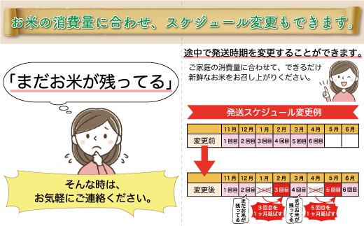 ＜令和7年産米＞ 令和7年12月下旬より配送開始 雪若丸【無洗米】30kg定期便 (5kg×6回)　鮭川村