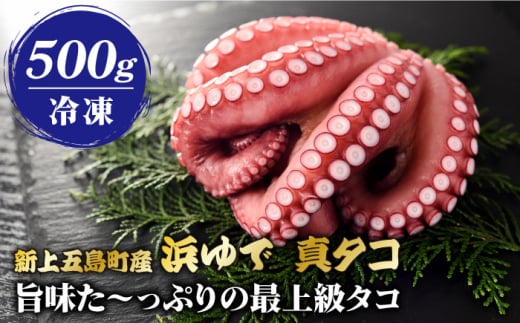 【旨味た～っぷりの最上級タコ】 五島 浜茹で 真タコ 冷凍 500g【カミティバリュー】 [RBP017]