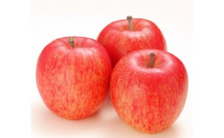 りんご サンふじ 約5kg (14玉から18玉) 青森産 つがる市【2026年11月下旬より順次発送】｜青森県産 津軽 つがる リンゴ 果物 フルーツ 青森 ふじ さんふじ サンフジ 青森りんご 令和