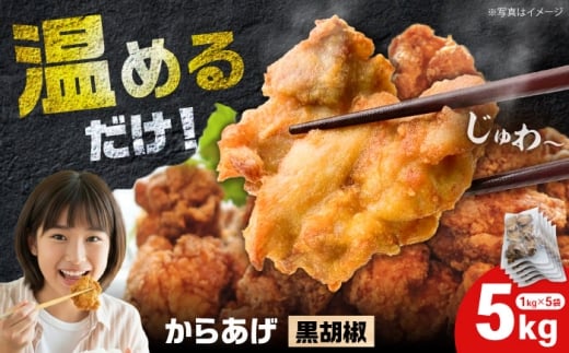 【年内発送】からあげ 黒胡椒味　5kg（単品）【から太郎】 [BDBC003-3]