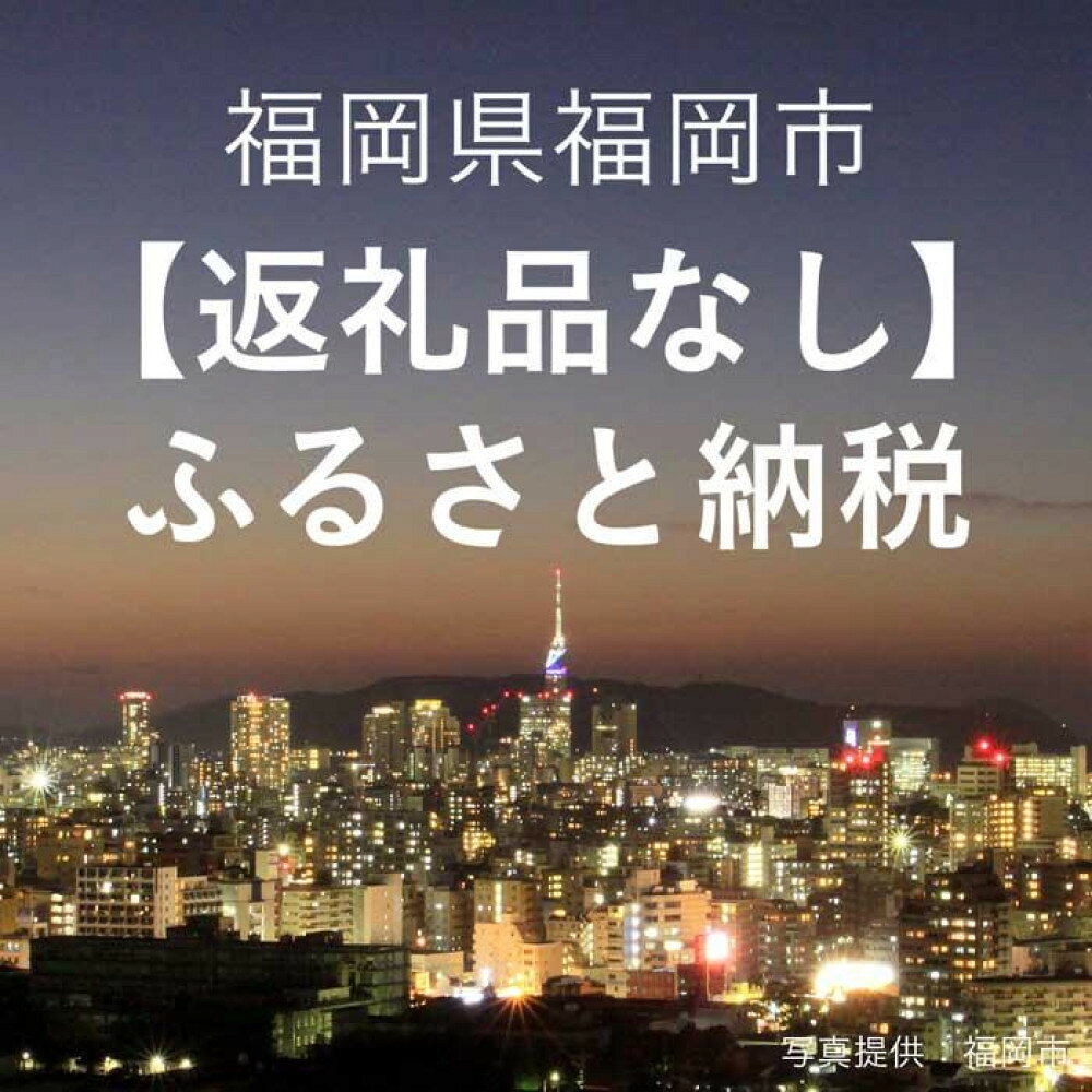 【ふるさと納税】福岡県福岡市への応援寄付 1,000円 〜 1,000,000円 返礼品なし | ふるさと納税 福岡市 福岡県 福岡 博多 九州 応援 支援 寄付 寄附 寄付のみ 返礼品無し 食品以外 健康 環境 スポーツ 文化 伝統工芸 農業 高齢者 介護 教育 子供 子ども ふるさと