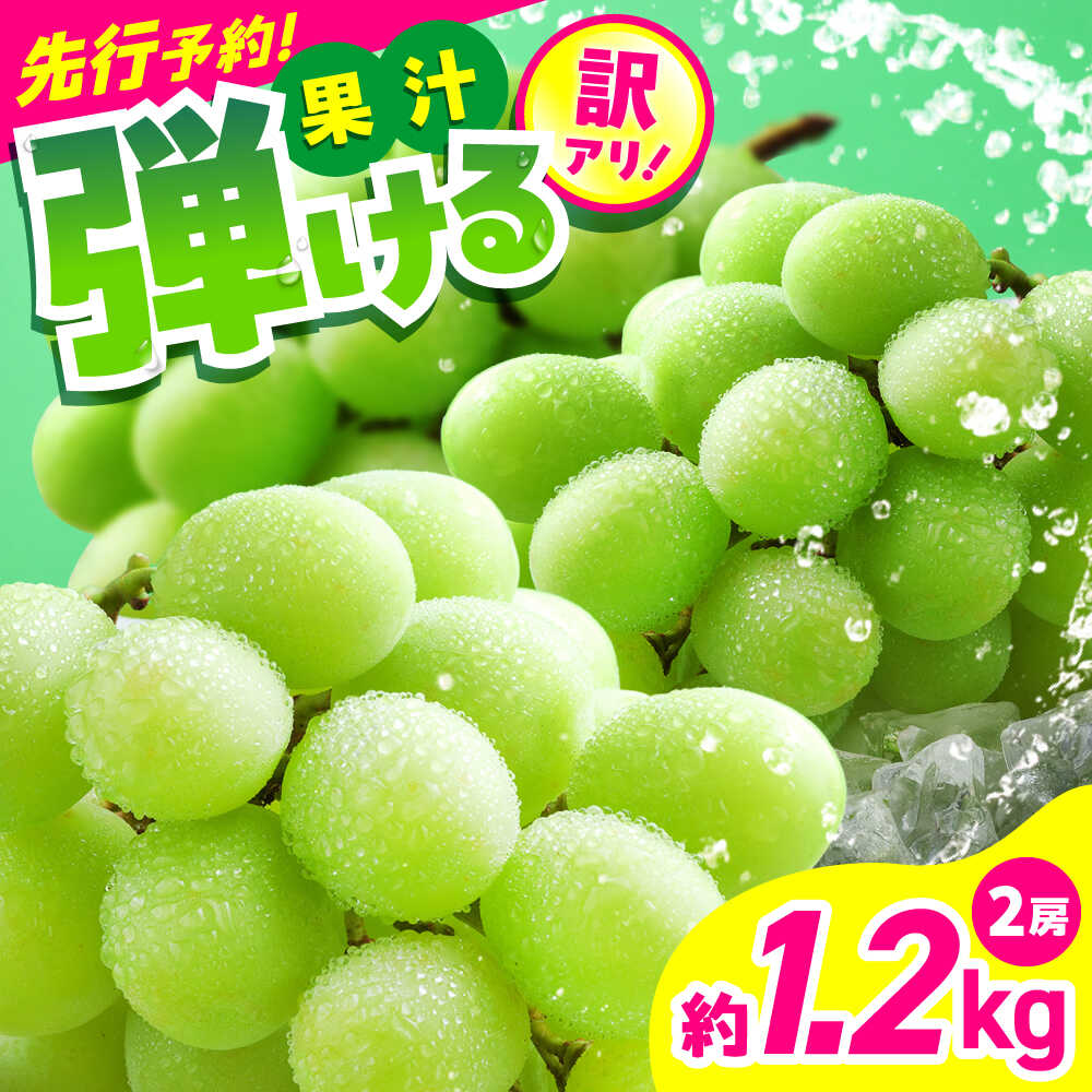【ふるさと納税】【2026年発送分 先行予約】【数量限定】【訳あり】シャインマスカット　約1.2kg（2房）　【中島農園】合志市 熊本県 産地直送 マスカット ますかっと シャインマスカット ブドウ 葡萄 果物 くだもの 大粒 種なし 皮ごと 季節限定 訳あり [AYCX003]