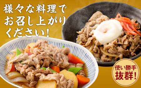 ＜宮崎県産豚こま切れ（モモ・ウデ） 250g×10パック 計2.5kg＞翌月末迄に順次出荷翌月末迄に順次出荷【c1459_tf】 肉 お肉 豚肉 豚小間 こま切れ モモ肉 ウデ肉 国産