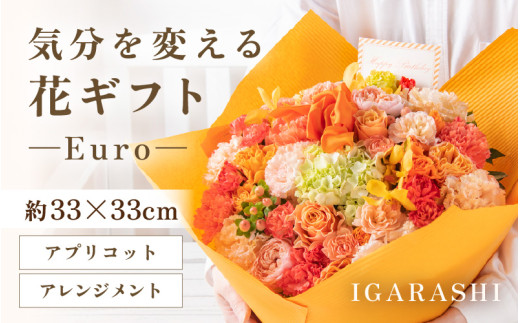 気分を変える花ギフト Euro(アレンジメント・アプリコット) [aw062-d003_05]