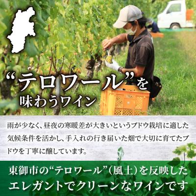 ふるさと納税 東御市 日本ワインコンクール受賞!東御市産ワイン 赤白2本セット(ヴィラデストワイナリー) |  | 03