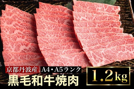 訳あり 京都産黒毛和牛(A4,A5) 焼肉 用 1.2kg(通常1kg+200g) 京の肉 ひら山 厳選 ≪緊急支援 牛肉 焼肉 牛肉 焼肉 牛肉 焼肉 牛肉 焼肉 牛肉 肉 牛肉 焼肉 牛肉 焼肉 焼肉 和牛 牛肉 焼肉 黒毛和牛 焼肉 国産 牛肉 焼肉 国産牛 牛肉 焼肉 国産 牛肉 焼肉 京都府産 牛肉 焼肉 丹波産 牛肉 焼肉 焼肉 牛肉 焼肉 焼き肉 牛肉 牛肉 焼肉 牛肉 焼き肉 肉牛 ふるさと納税 牛肉 焼肉 ふるさと納税 牛肉 焼き肉 焼肉 牛肉 牛肉 焼肉 牛肉 焼肉 牛肉 焼肉 牛肉 焼