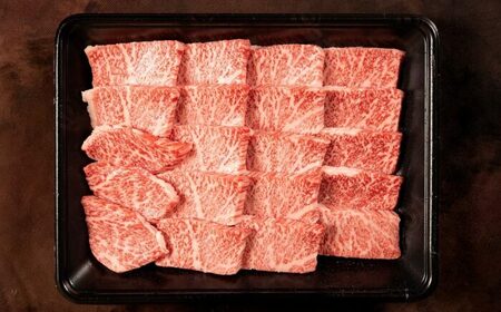 土佐黒牛 焼肉用（モモ肉）約400g / 贈答用 黒牛 土佐 土佐和牛 和牛 牛 肉 お肉 モモ肉 焼肉 食品 冷凍 高知 【高知県食肉センター株式会社】[ATFC033]