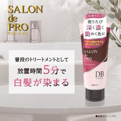 ふるさと納税 稲沢市 ダリヤ　サロン　ド　プロ　カラートリートメント《ダークブラウン》3個セット |  | 01