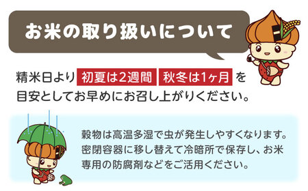 【令和7年度産】ひのひかり 10kg 【勝農園】[IDK001]