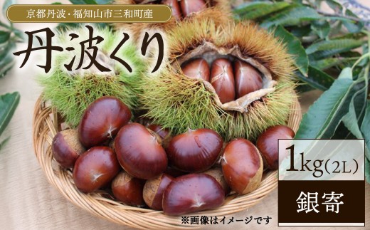 ＜2026年10月上旬以降順次発送予定＞京都丹波・福知山市三和町産 丹波くり 1kg (銀寄 2L)【fc-FB003】【丹波かなまろんふぁーむ】