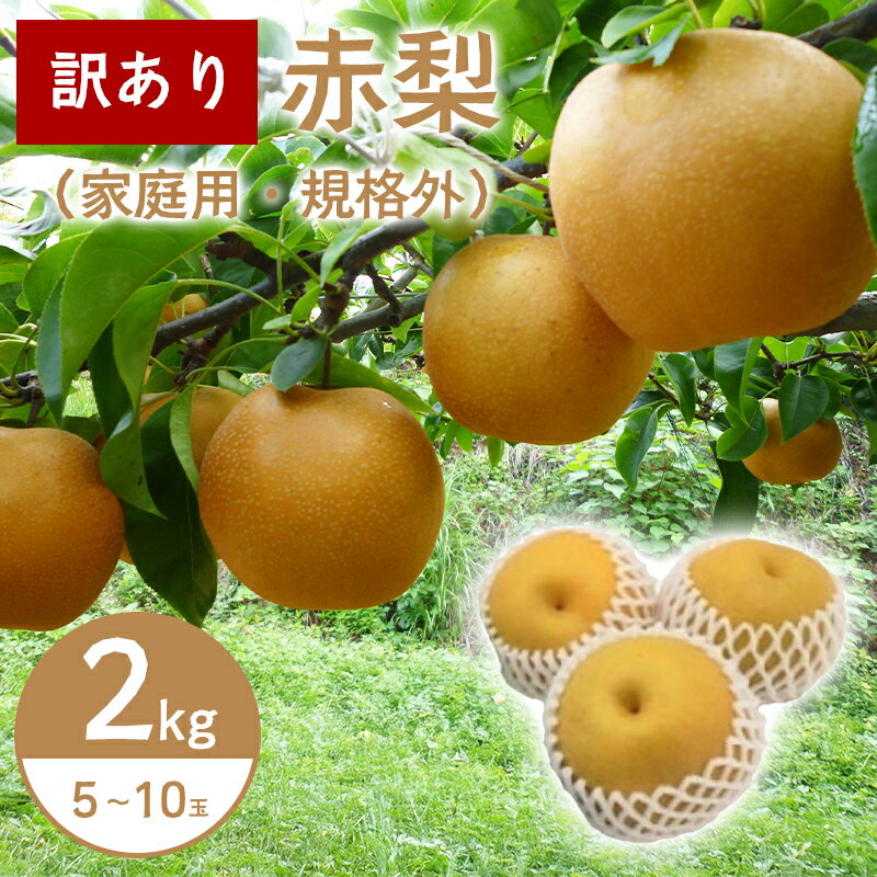 【ふるさと納税】 先行予約 訳あり赤梨 5〜10玉 2kg 家庭用・規格外 数量限定 季節限定 不揃い わけあり 幸水 豊水 新興 新高 瑞秋 おまかせ 益田産 くだもの 果物
