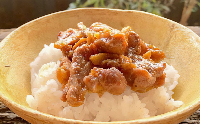 【冷凍】合鴨テリヤキ丼の素×6パック 合鴨 テリヤキ 丼の素 簡単 料理 キット ご飯のお供 グルメ お取り寄せ 特産品