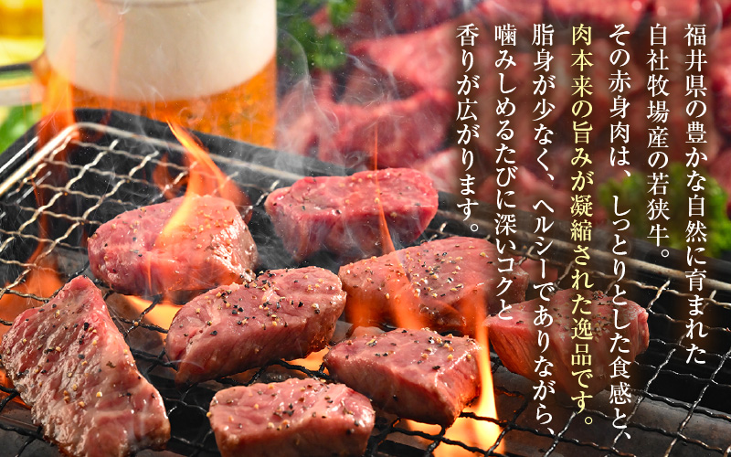【訳あり】 若狭牛 赤身肉 500g（250g×2個） ／ 国産 牛肉 A4 A5 ブランド牛 [aw009-a005]