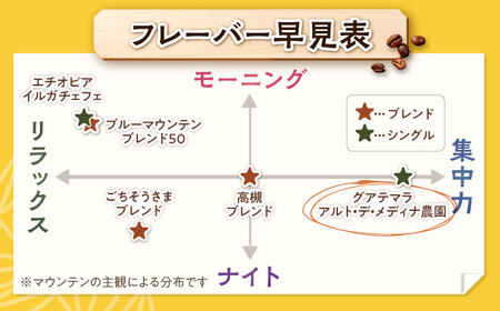 【スピード発送】グアテマラ アルト・デ・メディナ農園  600g 細挽き コーヒー 珈琲 豆 粉 コーヒー豆 コーヒー粉 ドリップ ギフト 大阪府高槻市/自家焙煎コーヒー マウンテン[AOEL094]