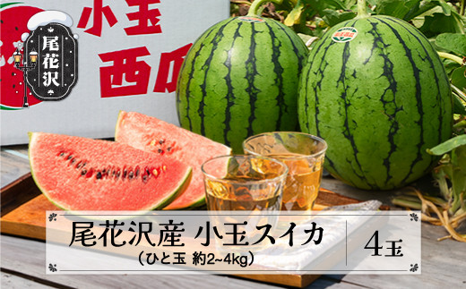 小玉スイカ (約2〜4kg)×4玉 7月中旬～8月上旬頃発送 令和9年産 2027年産 尾花沢産 kb-sukxx4-7b