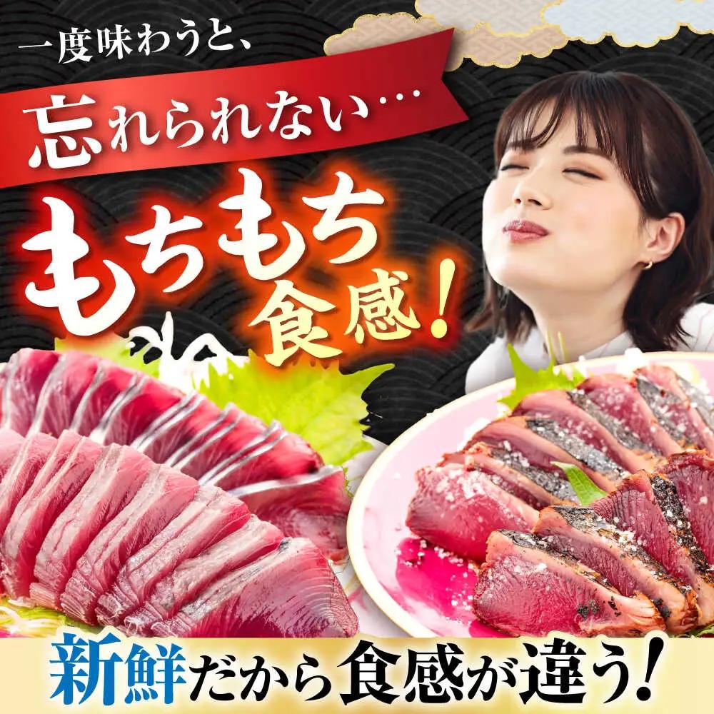 【冷蔵】びりガツオたたきと刺身 約250g/節 2節  冷蔵 かつおのたたき 鰹カツオ 魚 さかな 海鮮 魚介類 本場 土佐 個包装 ふるさと納税カツオ 高知県 高知市 刺し身 天然 【ゆず庵2】[A