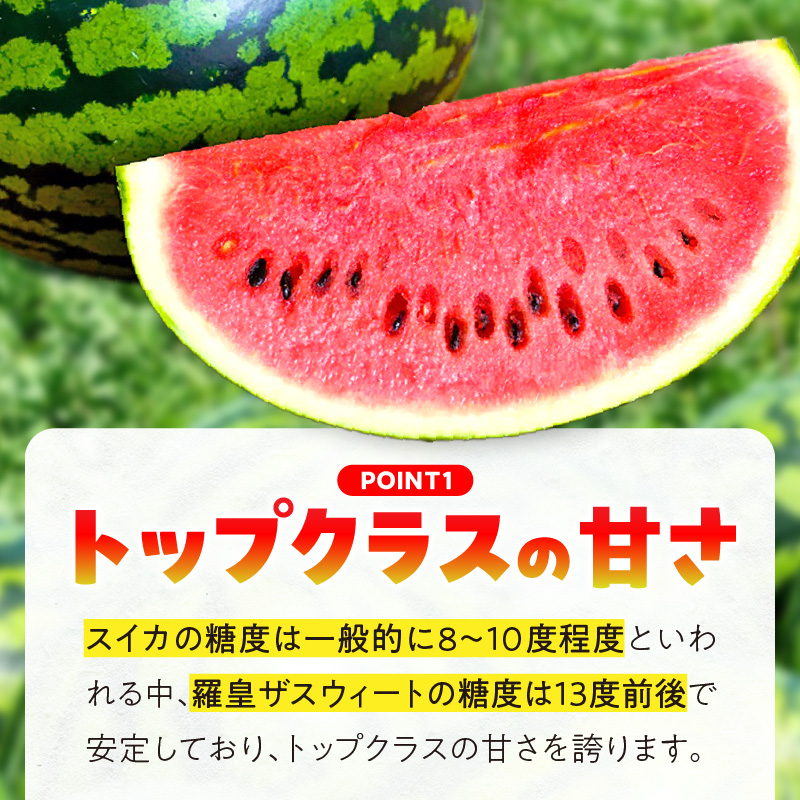【2026年発送】深く甘いコク感と強いシャリ感「羅皇ザスウィート」1玉 すいか 甘い すいか1玉 果物 フルーツ　H141-015