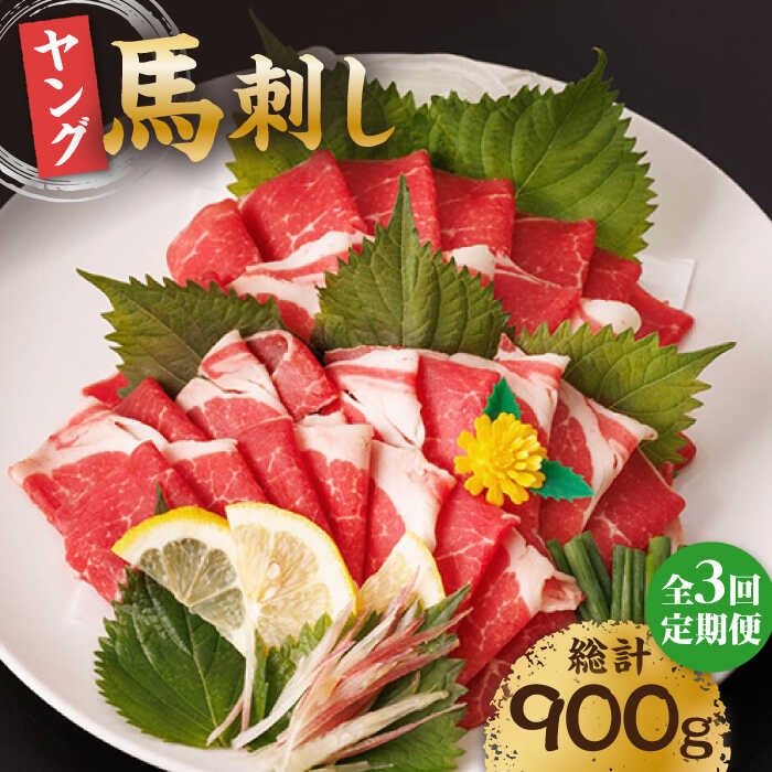 【ふるさと納税】【3回定期便】ヤング馬刺し 計300g（3pc）＋タレ小 ヤング 馬刺し 馬肉 桜肉 馬 肉 便利 小分け 3パック タレ付き コリコリ 歯ごたえがある 首周りのお肉 冷凍 生食 肉食 刺身 九州 熊本県 特産品 山鹿 送料無料 【馬刺しの郷 民守】[ZBL046]