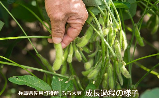 もち大豆醤油 900ml×4本 天然醸造 杉桶仕込み 佐用町特産 もち大豆使用