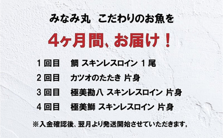 定期便 4回 かつお かつおのたたき 勘八 鰤 こだわり 海鮮 鯛  鰤 食べ比べ たたき 刺身 産地直送 魚介 須崎市