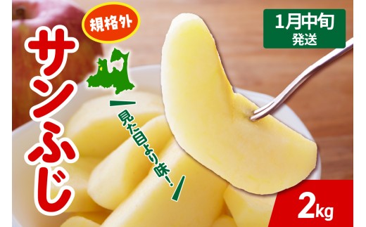 【2027年1月中旬発送】 りんご サンふじ 約 2kg 規格外 程度 青森 五所川原 不揃い サン ふじ りんご規格外