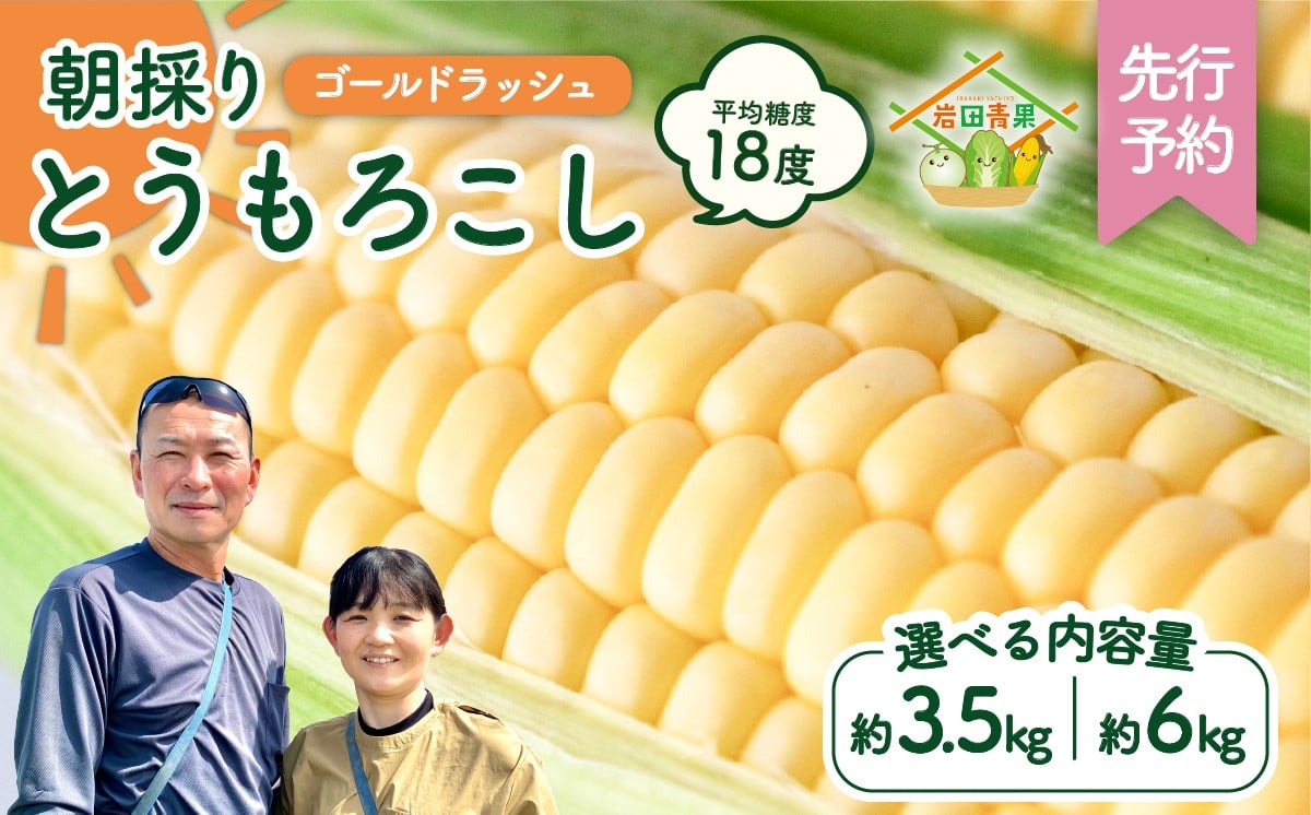 
            【先行予約 2026年6月中旬以降発送 】 【 令和8年産 】 朝採り とうもろこし （ ゴールドラッシュ ） 【 選べる内容量 】 トウモロコシ 朝採り 甘い 新鮮 6kg 3.5kg スイートコーン コーン 野菜 極甘 岩田さん 2026 [AX019ya00][SZRY]
          