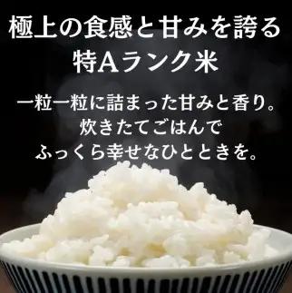 【令和7年産米】あきたこまち 特A 白米 5kg×2 あきたこまち [H9-2301]