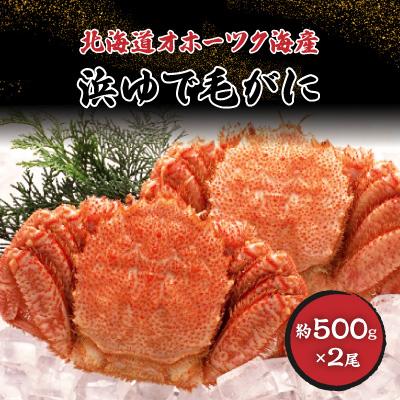 ふるさと納税 稚内市 北海道オホーツク海産 浜ゆで毛がに　約500g×2尾