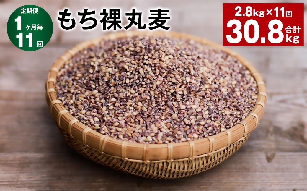 
【1ヶ月毎11回定期便】 もち裸丸麦 計30.8kg（2.8kg✕11回） 麦 もち麦 丸麦 雑穀 大麦
