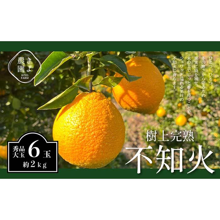 【ふるさと納税】不知火 希少な樹上完熟！ 秀品大玉 6個入 (約2kg)　［2027年2月末頃から3月末頃まで発送］［KT2］ | フルーツ 果物 くだもの 食品 人気 おすすめ 送料無料