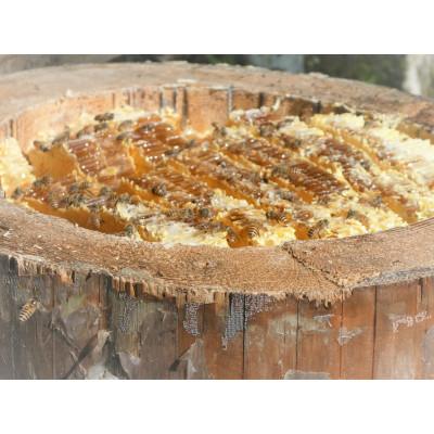 ふるさと納税 古座川町 南紀熊野蜜　A　200g×1 |  | 02