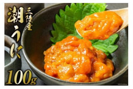 三陸産 潮うに 100g [大菊 宮城県 気仙沼市 20563727] ウニ 雲丹 うに ミョウバン不使用 塩うに 塩ウニ 粒うに キタムラサキウニ 冷凍 パック 塩分控えめ レビューキャンペーン