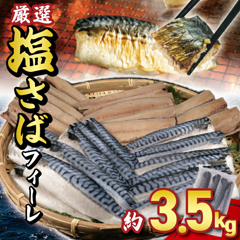 【ふるさと納税】 サバ 塩サバフィーレ 約3.5kg ノルウェー産 冷凍 小分け サバ 鯖 フィーレ 海鮮 魚 大容量 青魚 おかず 惣菜 焼魚 魚貝 おつまみ 弁当 人気 グルメ お取り寄せ 送料無料 ふるさと納税 ふるさと納税魚 千葉県 銚子市 大一奈村魚問屋