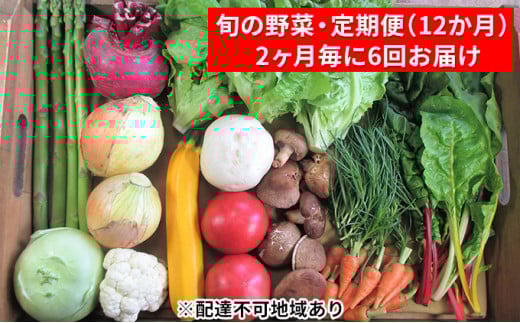 [№5895-0496]【2ヶ月毎に6回お届け】 旬の野菜・定期便（12か月）