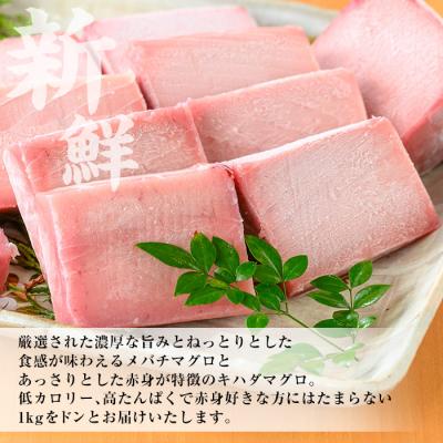 ふるさと納税 いちき串木野市 天然メバチマグロ・キハダマグロ各赤身 100g×5計約1kg |  | 01