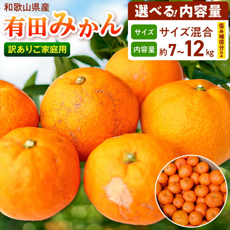 【ふるさと納税】【2026年先行予約】【限定】有田みかん 訳あり サイズ混合 ご家庭用 選べる 内容量 6kg 〜 10kg 補償分あり みかん 温州みかん フルーツ 果物 果実 柑橘 甘い ジューシー 本場の味 国産 食品 産地直送お取り寄せ和歌山県湯浅町送料無料
