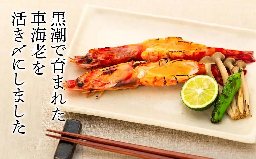 鹿児島県産 活き〆冷凍 車海老（養殖）3Lサイズ 計600g（300g 7～9尾×2パック）セット【 車エビ】