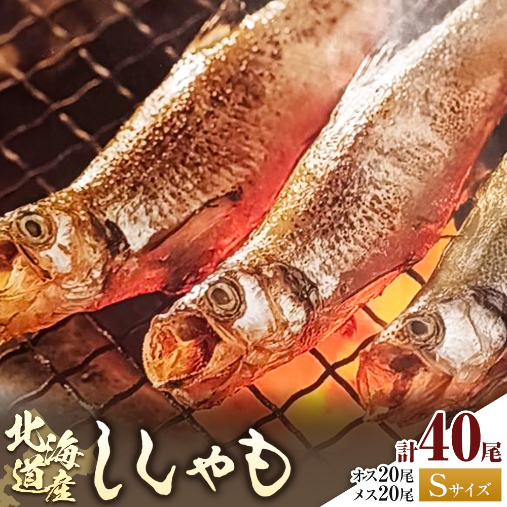 
                  北海道産 ししゃも S40尾セット（オス20尾 メス20尾） 有限会社阿部水産《14日以内に出荷予定》北海道 日高町 国産 魚 シシャモ 魚介 海鮮 グルメ 食べ物
                