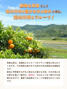 まーくん家のみかん 5kg 《11月中旬-12月中旬頃出荷》 和歌山県 紀の川市 柑橘 きただ農園まーくん家 化学肥料・除草剤不使用