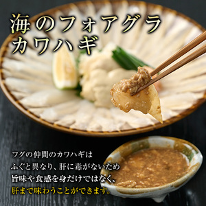 カワハギ 刺身セット (総量280g・4-6人前)かわはぎ 肝 身皮 切身 切り身 ポン酢 ぽん酢 鮮魚 冷凍 養殖 国産 大分県 佐伯市 フジテレビ ノンストップ いただき！ハウマッチ【GO002】