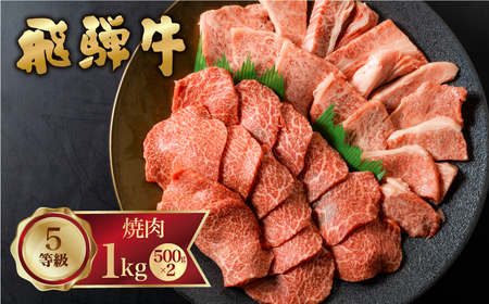 飛騨牛 霜降り／赤身 焼き肉 計1kg 飛騨牛 [Q1978x] 